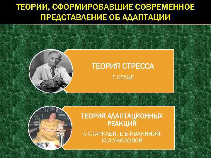 Активационная терапия по гаркави схема