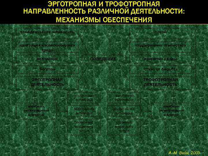 ЭРГОТРОПНАЯ И ТРОФОТРОПНАЯ НАПРАВЛЕННОСТЬ РАЗЛИЧНОЙ ДЕЯТЕЛЬНОСТИ: МЕХАНИЗМЫ ОБЕСПЕЧЕНИЯ поведенческая активность покой адаптация к изменяющейся