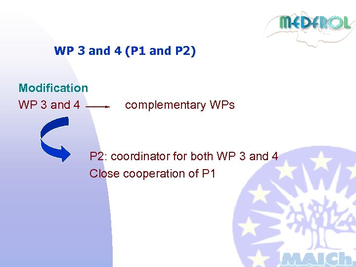 WP 3 and 4 (P 1 and P 2) Modification WP 3 and 4