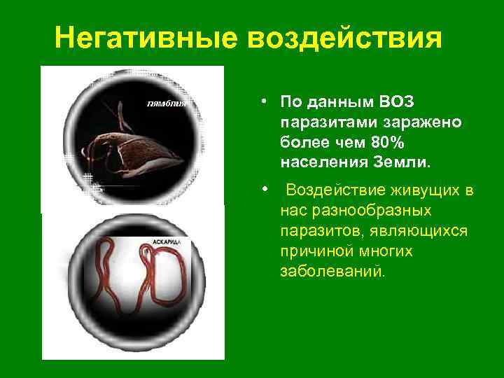 Негативные воздействия • По данным ВОЗ паразитами заражено более чем 80% населения Земли. •