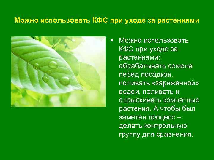 Можно использовать КФС при уходе за растениями • Можно использовать КФС при уходе за