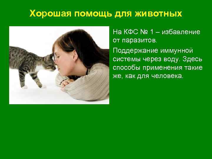 Хорошая помощь для животных • На КФС № 1 – избавление от паразитов. •