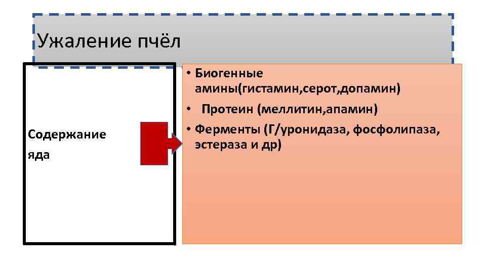 Ужаление пчёл Содержание яда • Биогенные амины(гистамин, серот, допамин) • Протеин (меллитин, апамин) •