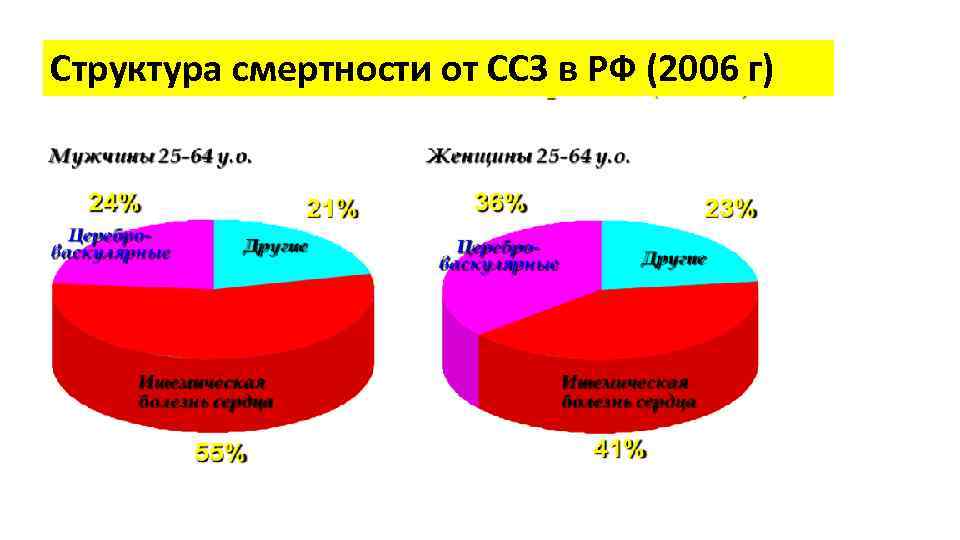 Структура смертности от ССЗ в РФ (2006 г) 