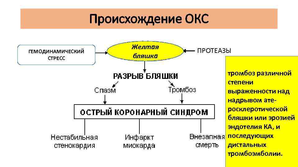 Происхождение ОКС ГЕМОДИНАМИЧЕСКИЙ СТРЕСС Желтая бляшка ПРОТЕАЗЫ тромбоз различной степени выраженности надрывом ате- росклеротической