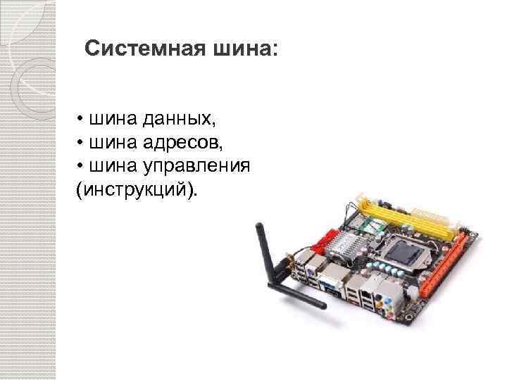 Системная шина: • шина данных, • шина адресов, • шина управления (инструкций). 