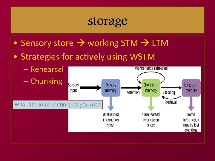 storage • Sensory store working STM LTM • Strategies for actively using WSTM –