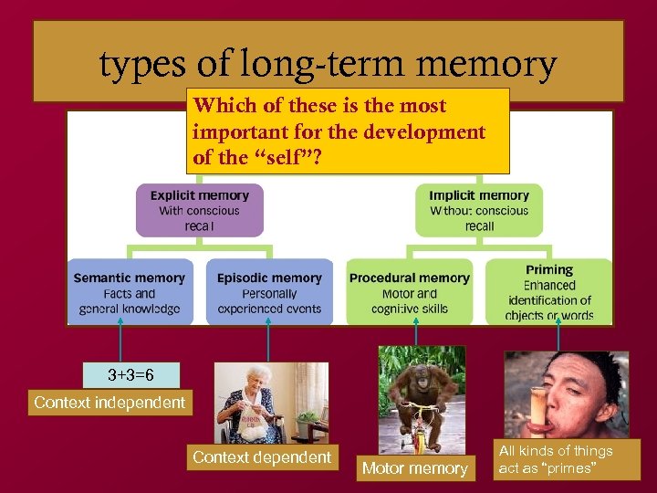 types of long-term memory Which of these is the most important for the development