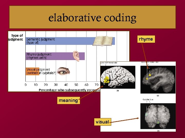 elaborative coding rhyme meaning visual 