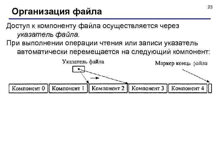 Организация файла 23 Доступ к компоненту файла осуществляется через указатель файла. При выполнении операции