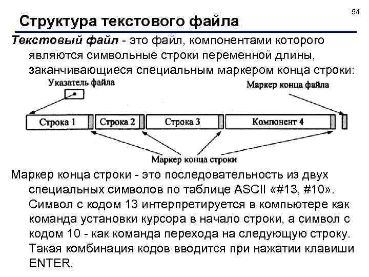 Структура текстового файла 54 Текстовый файл - это файл, компонентами которого являются символьные строки