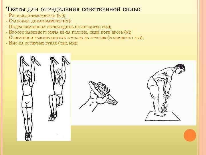 ТЕСТЫ ДЛЯ ОПРЕДЕЛЕНИЯ СОБСТВЕННОЙ СИЛЫ: - РУЧНАЯ ДИНАМОМЕТРИЯ (КГ); - СТАНОВАЯ ДИНАМОМЕТРИЯ (КГ); -