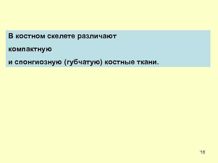 В костном скелете различают компактную и спонгиозную (губчатую) костные ткани. 16 