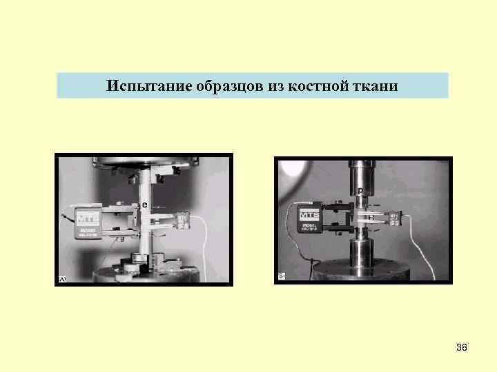 Испытание образцов из костной ткани 38 