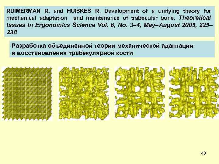 RUIMERMAN R. and HUISKES R. Development of a unifying theory for mechanical adaptation and