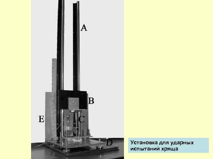 Установка для ударных испытаний хряща 47 