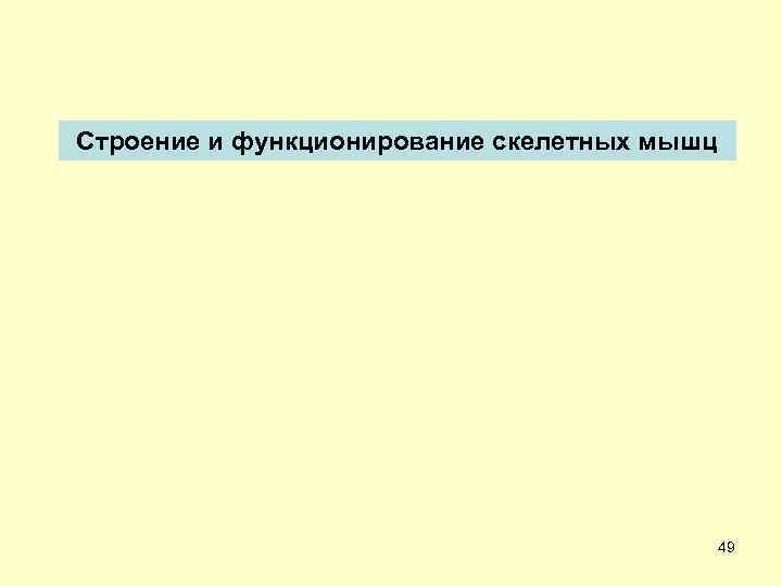 Строение и функционирование скелетных мышц 49 