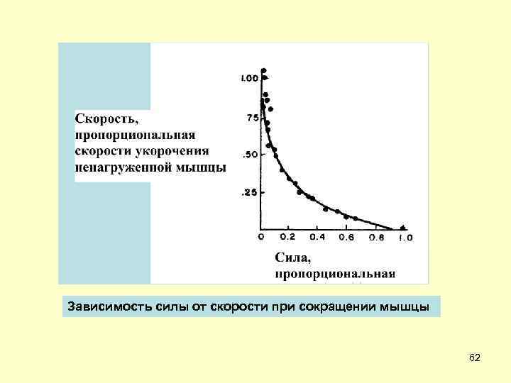 Зависимость работы от силы. Зависимость сила скорость мышечного сокращения. Зависимость силы от длины мышцы. График скорость сила физиология. Зависимость силы от скорости.