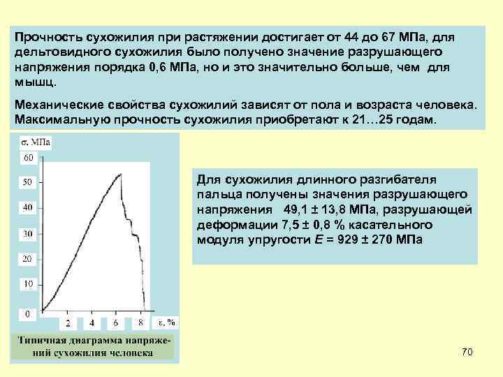 Прочность сухожилия при растяжении достигает от 44 до 67 МПа, для дельтовидного сухожилия было
