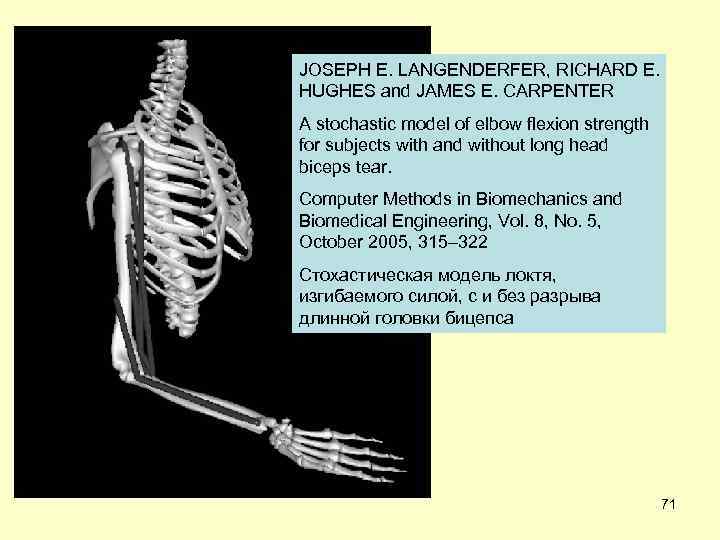 JOSEPH E. LANGENDERFER, RICHARD E. HUGHES and JAMES E. CARPENTER A stochastic model of