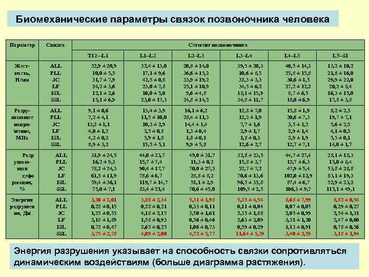 Биомеханические параметры связок позвоночника человека Параметр Связка Сегмент позвоночника Т 12 -–L 1 Жесткость,