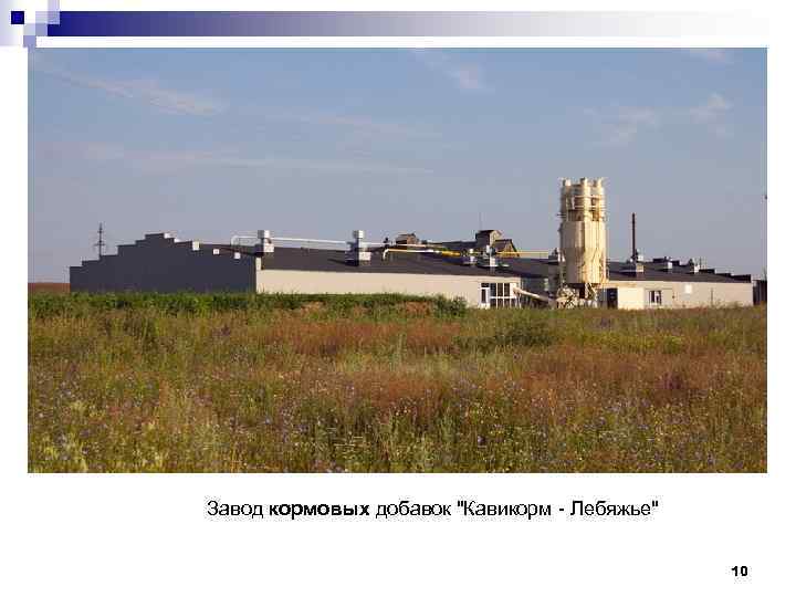 Завод кормовых добавок "Кавикорм - Лебяжье" 10 