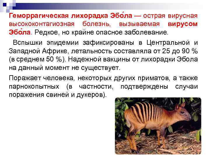 Геморрагическая лихорадка Эбо ла — острая вирусная высококонтагиозная болезнь, вызываемая вирусом Эбо ла. Редкое,
