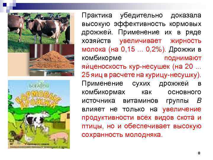 Практика убедительно доказала высокую эффективность кормовых дрожжей. Применение их в ряде хозяйств увеличивает жирность