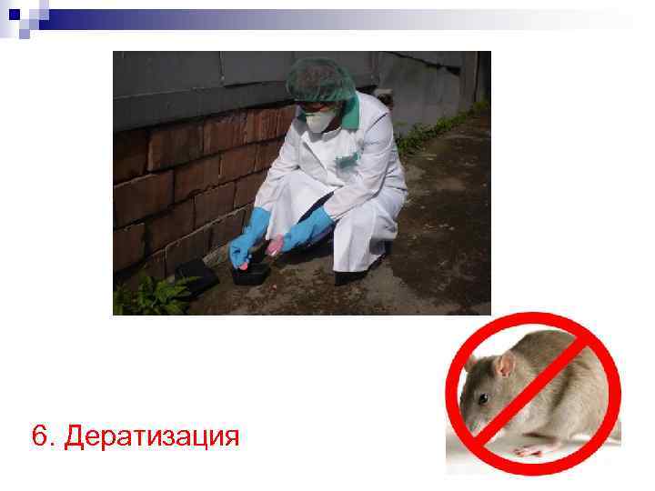 6. Дератизация 82 