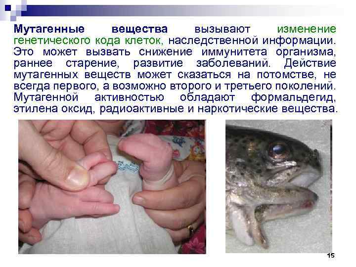 Мутагенные вещества вызывают изменение генетического кода клеток, наследственной информации. Это может вызвать снижение иммунитета