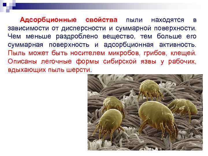 Адсорбционные свойства пыли находятся в зависимости от дисперсности и суммарной поверхности. Чем меньше раздроблено