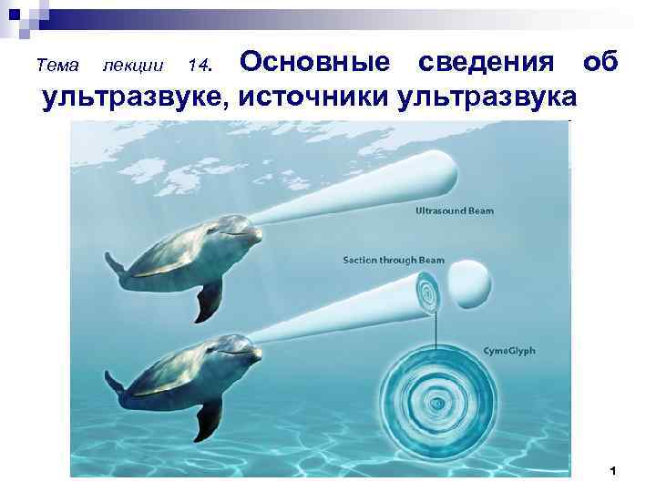 Основные сведения об ультразвуке, источники ультразвука Тема лекции 14. 1 