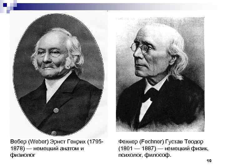 Вебер (Weber) Эрнст Генрих (1795 1878) — немецкий анатом и физиолог Фехнер (Fechner) Густав