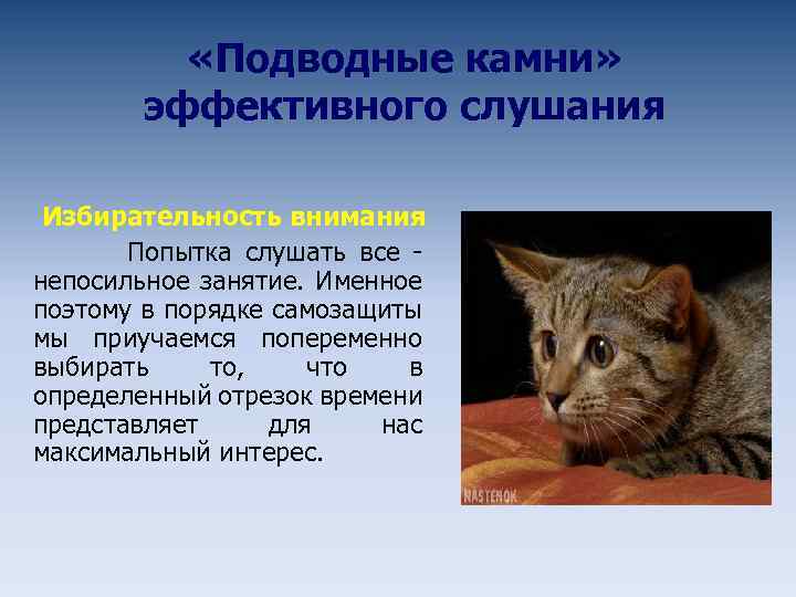  «Подводные камни» эффективного слушания Избирательность внимания Попытка слушать все непосильное занятие. Именное поэтому