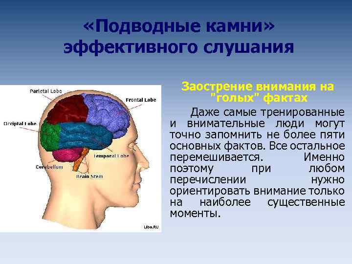  «Подводные камни» эффективного слушания Заострение внимания на "голых" фактах Даже самые тренированные и