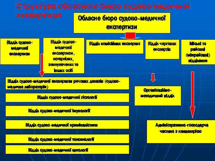 Структура обласного бюро судово-медичної експертизи: Обласне бюро судово-медичної експертизи Відділ судовомедичної експертизи, потерпілих, звинувачених