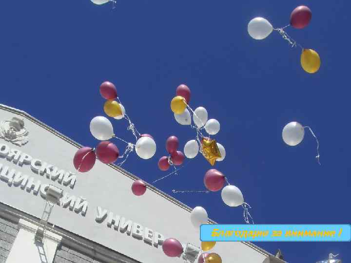 n Благодарю за внимание ! 