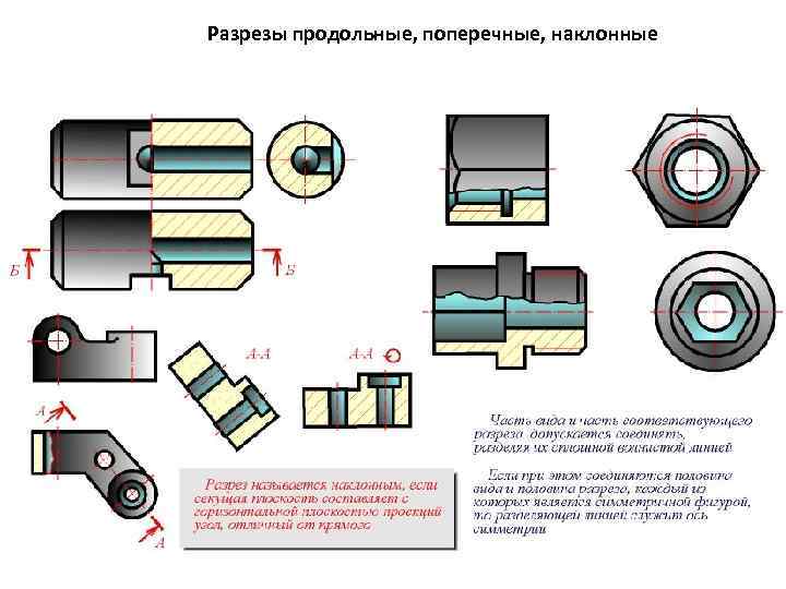 Разрезы продольные, поперечные, наклонные 