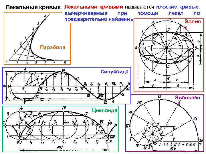 Лекальные кривые Лекальными кривыми называются плоские кривые, вычерчиваемые при помощи предварительно найденным точкам лекал