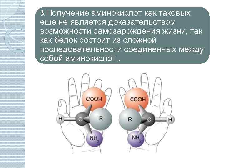 3. Получение аминокислот как таковых еще не является доказательством возможности самозарождения жизни, так как