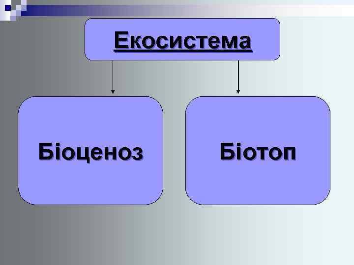 Екосистема Біоценоз Біотоп 