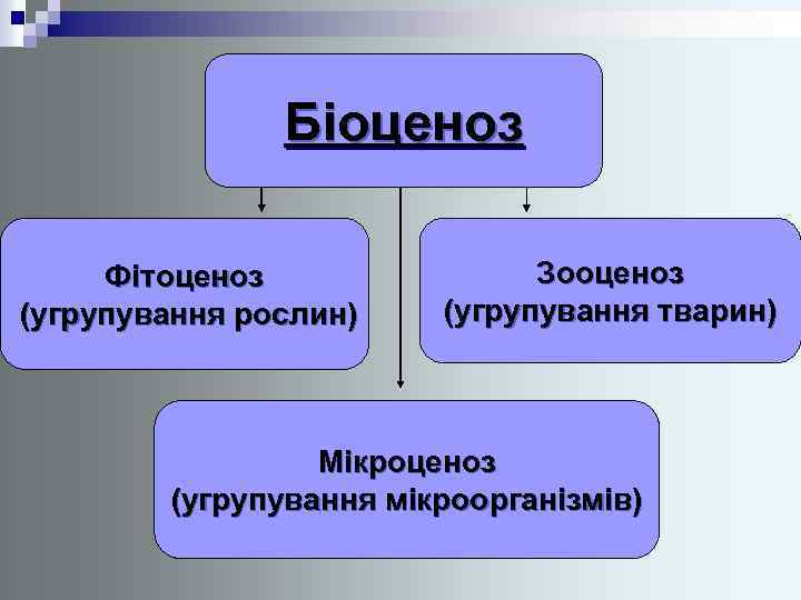 Біоценоз Фітоценоз (угрупування рослин) Зооценоз (угрупування тварин) Мікроценоз (угрупування мікроорганізмів) 