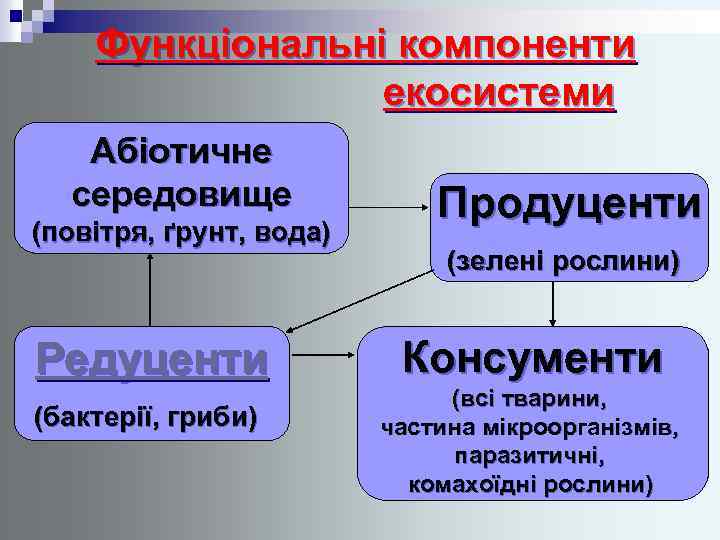 Функціональні компоненти екосистеми Абіотичне середовище (повітря, ґрунт, вода) Редуценти (бактерії, гриби) Продуценти (зелені рослини)