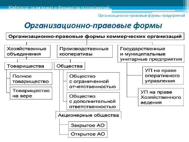 Организационно правовая форма деятельности