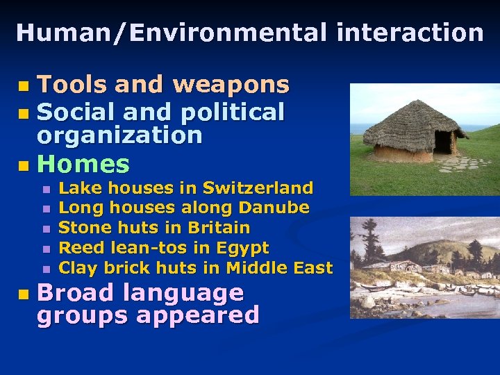 Human/Environmental interaction Tools and weapons n Social and political organization n Homes n n