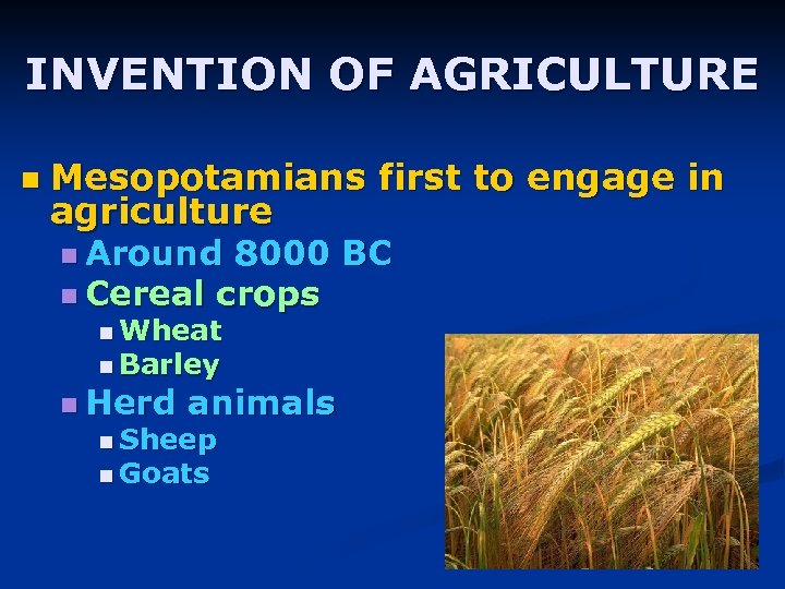 INVENTION OF AGRICULTURE n Mesopotamians first to engage in agriculture n Around 8000 BC