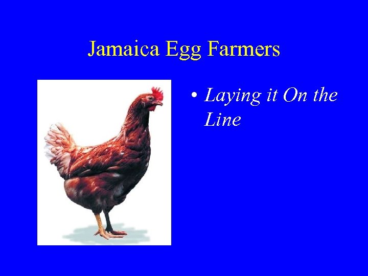 Jamaica Egg Farmers • Laying it On the Line 