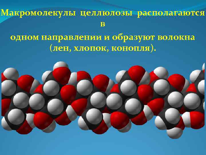 Макромолекулы целлюлозы располагаются в одном направлении и образуют волокна (лен, хлопок, конопля). 