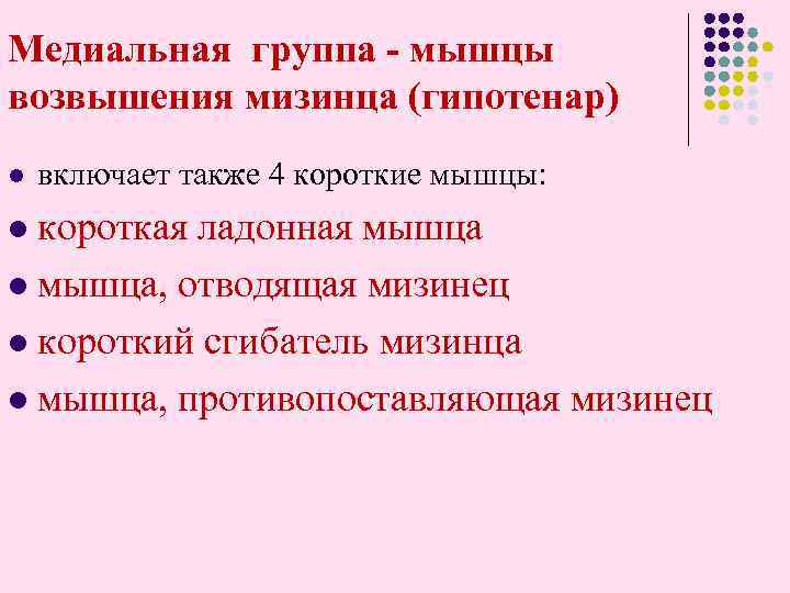 Медиальная группа - мышцы возвышения мизинца (гипотенар) l включает также 4 короткие мышцы: короткая