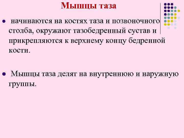 Мышцы таза l начинаются на костях таза и позвоночного столба, окружают тазобедренный сустав и